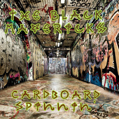 Cardboard Spinnin