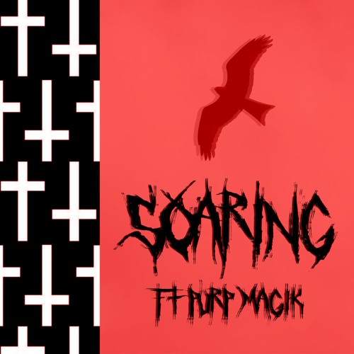 SOARING FT. ZANE MCQUIRE PROD. PULSE