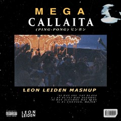 Bad Bunny vs Armin Van Buuren - Mega Callaita (Leon Leiden Mashup)