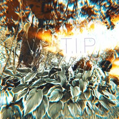 T.I.P (Trouble In Paradise)