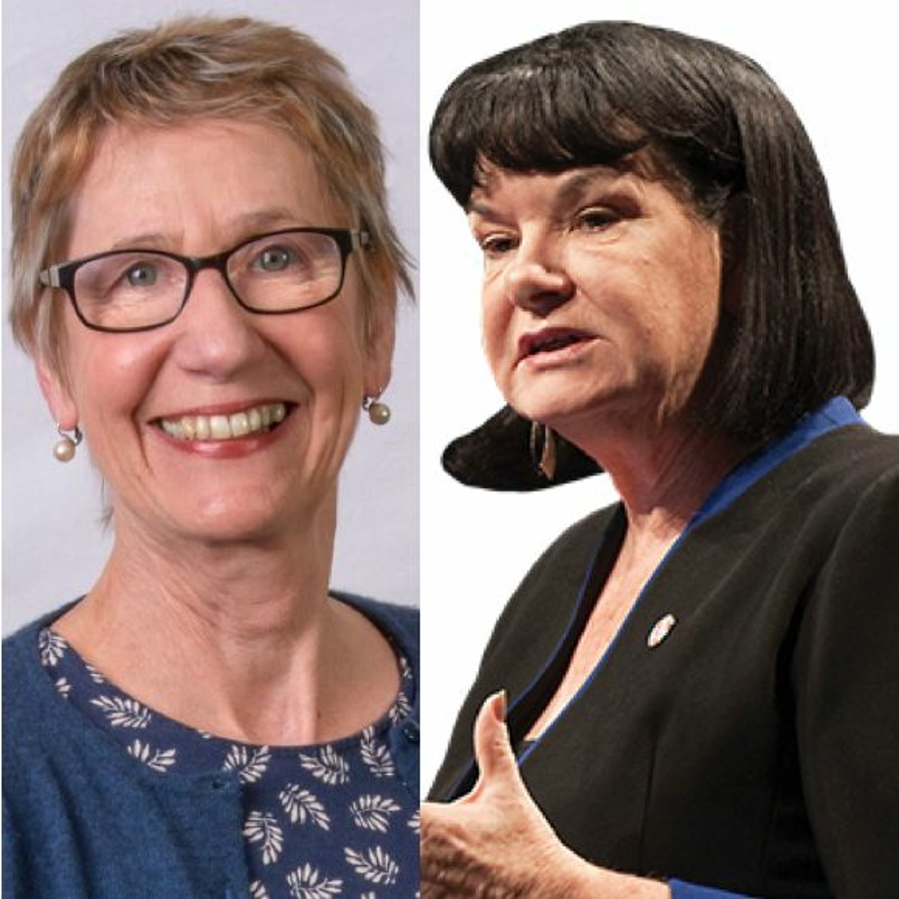 FreshEd #166 – Education Trade Unions: The Big Issues (Susan Hopgood & Sharan Burrow) episode artwork