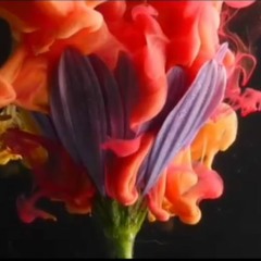 INK - Stellar Stream