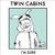 Artwork for Twin Cabins - Swing Lynn (SLOWED)