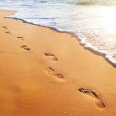 Walking Meditation Practice