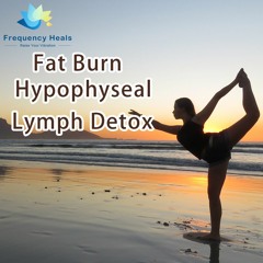 Frequency Heals - Fat Burn Hypophyseal Lymph Detox (XTRA)