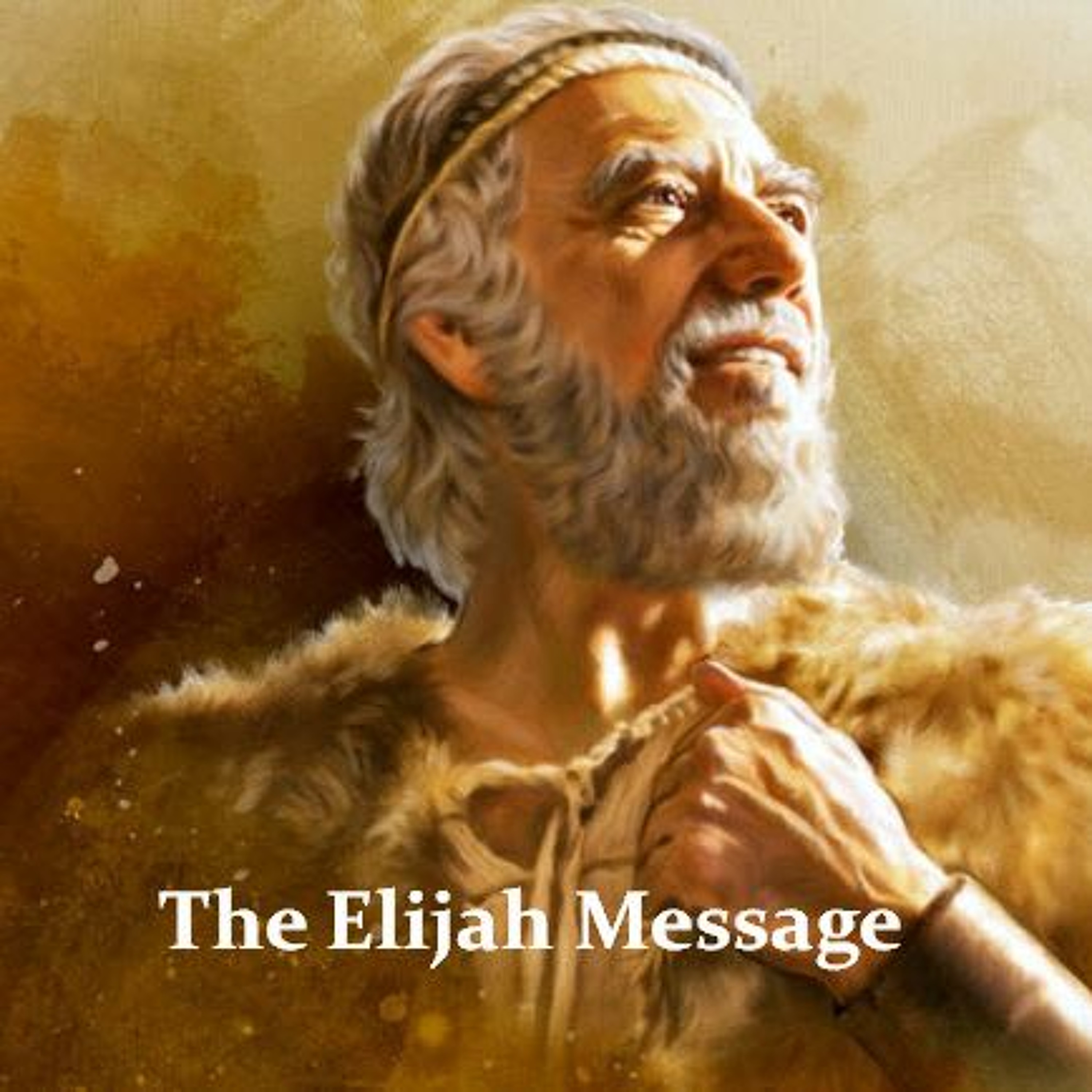 The Elijah Message Pt 2 ~ Confronting a Mixed Worship System episode artwork