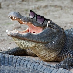 Dj Aligator - Whistle Song (Remix)