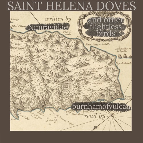 Saint Helena Doves And Other Flightless Birds