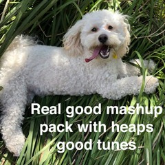 Real good mashup pack with heaps good tunes vol.1