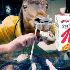 Kets For Horses