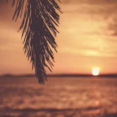 The Mushins - Summer 2019 (Mixtape)