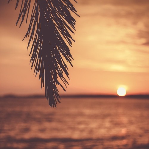 The Mushins - Summer 2019 (Mixtape)