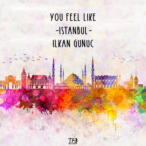 ilkan Gunuc - You feel like Istanbul