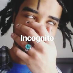 Incognito (ReProd. spvcegrinder)