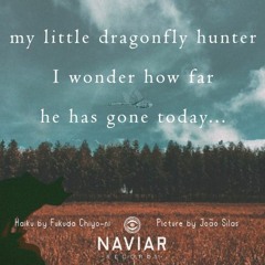 My Little Dragonfly Hunter (Naviarhaiku291)