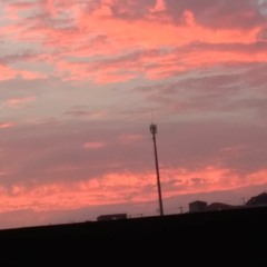 Black Marble (Live At Home Sick On January 13th 2018)