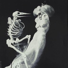 jelonki - 05.08.2019, 15.42 prod opium