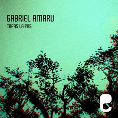 Gabriel Amaru - Prea Pe Fui (Original Mix)