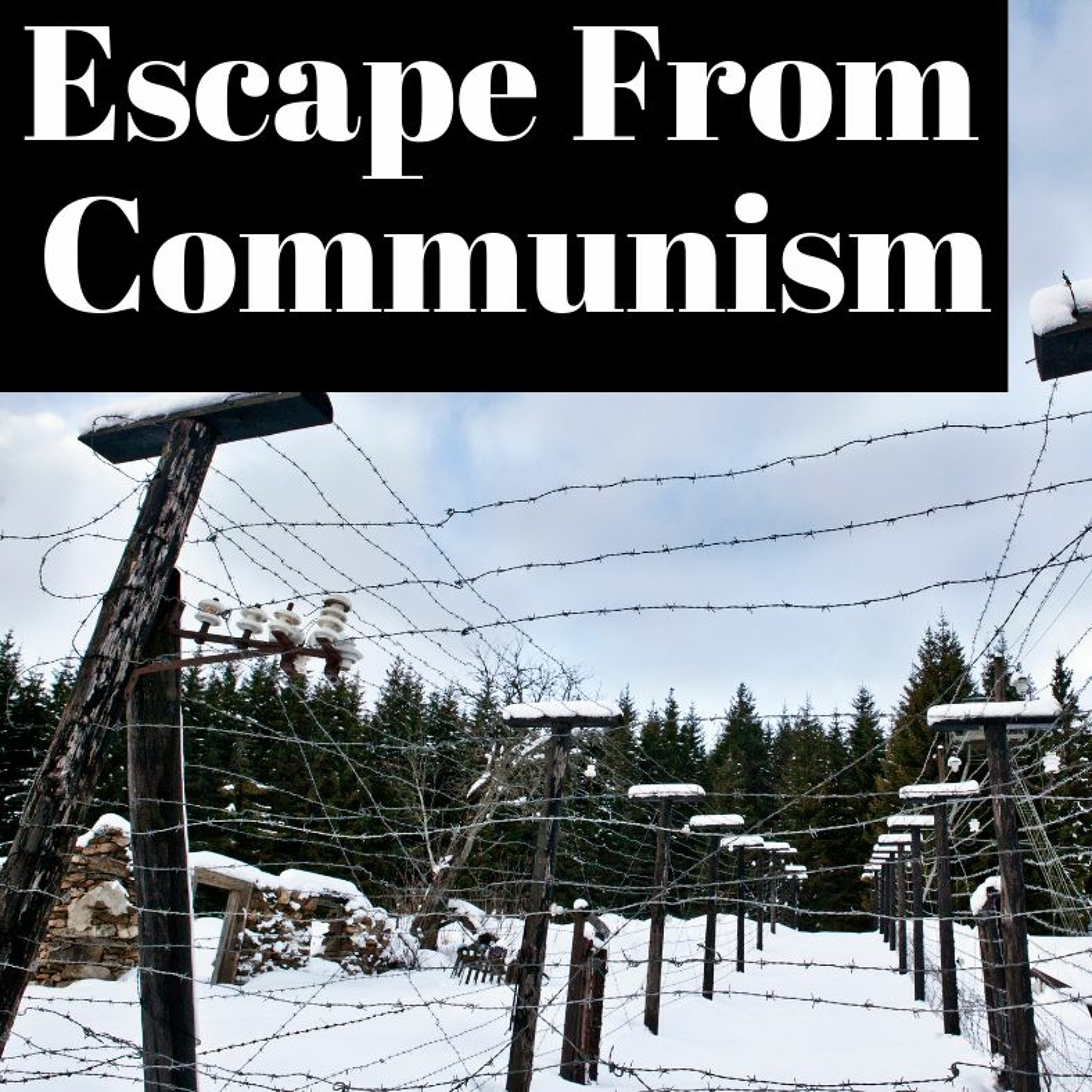 Escape From Communism - A True Story (Author Dumitru Sandru) episode artwork