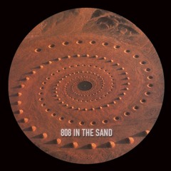 viiks - 808 in the sand