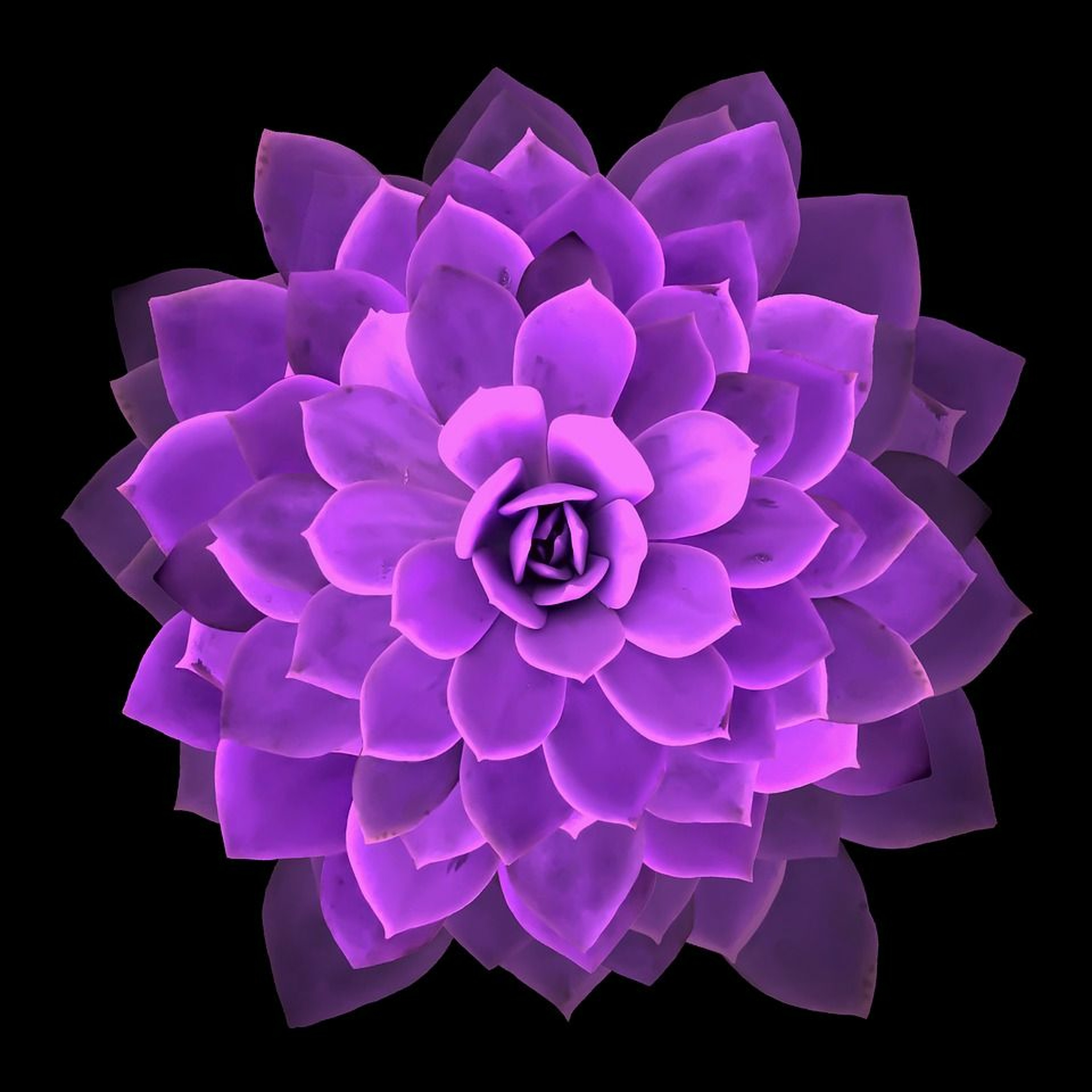 Unity Spiritual Center