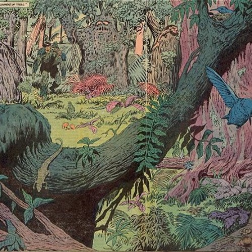 Walk in Forest Swamp