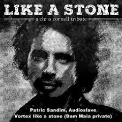 Patrick Sandim, Audioslave - Vortex Like A Stone (Dam Maia Private)
