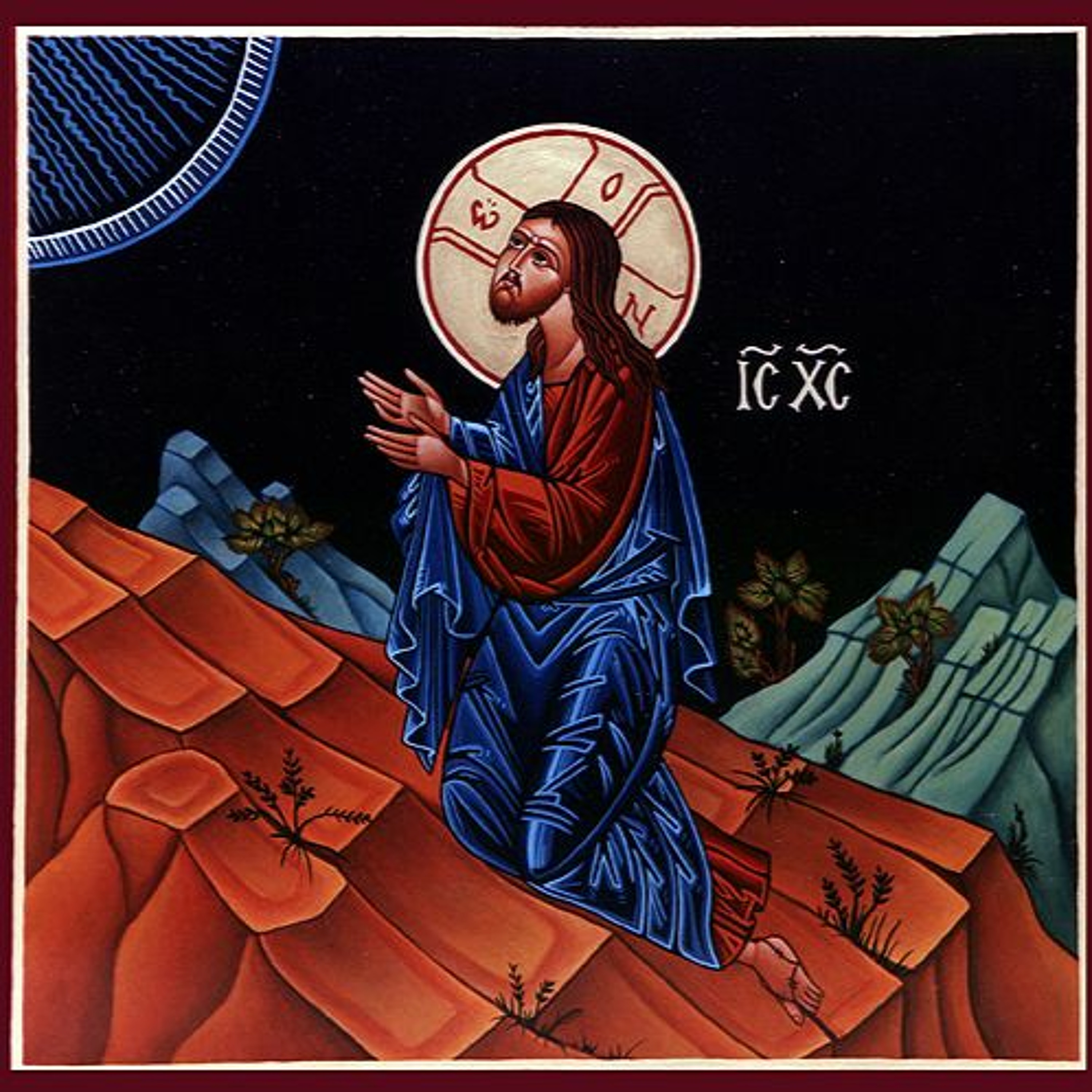 MERCYhouse University