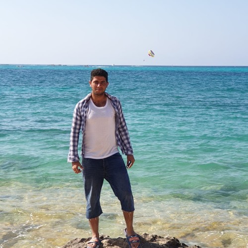 يسري الحمولي الحب كله