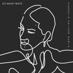 So Many Ways (Penguin Prison Remix)