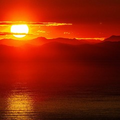 Into The Sunset