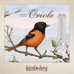 Bird Boy - Oriole (Icterus Galbula)