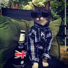 Sufjan Stevens - mystery of love (instrumental cover)