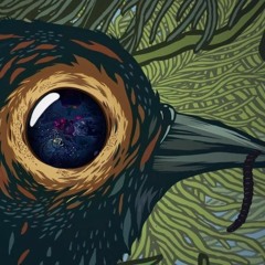 Zatelli - Tribalism [PREVIEW]