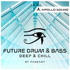 Future Drum N Bass (Sample Pack)