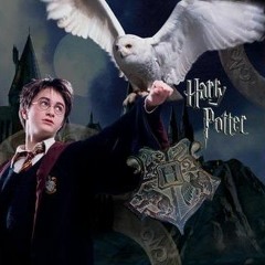 'Back to Hogwarts with Hedwig!' - Upbeat Commercial Spot.