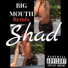 Big Mouth- Shad (rubi rose remix)
