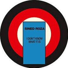 Sined Roza- I dont know what it is (BIBSTERS remake/tribute mix, mixed mastered at blandystudios