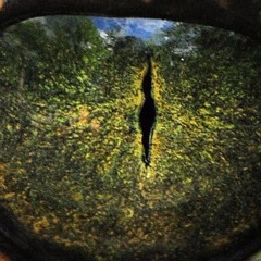 Chasing down the Beast