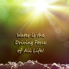 Synawatt Essence Of Life Part 1