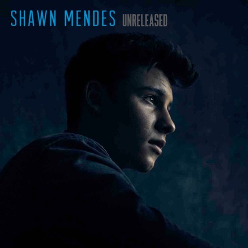 Shawn Mendes Love by ShawnMendesFan Shawn Mendes Fan Free