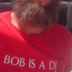 DJ Bob Bushfire 4.MP3