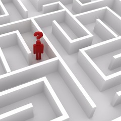 the maze