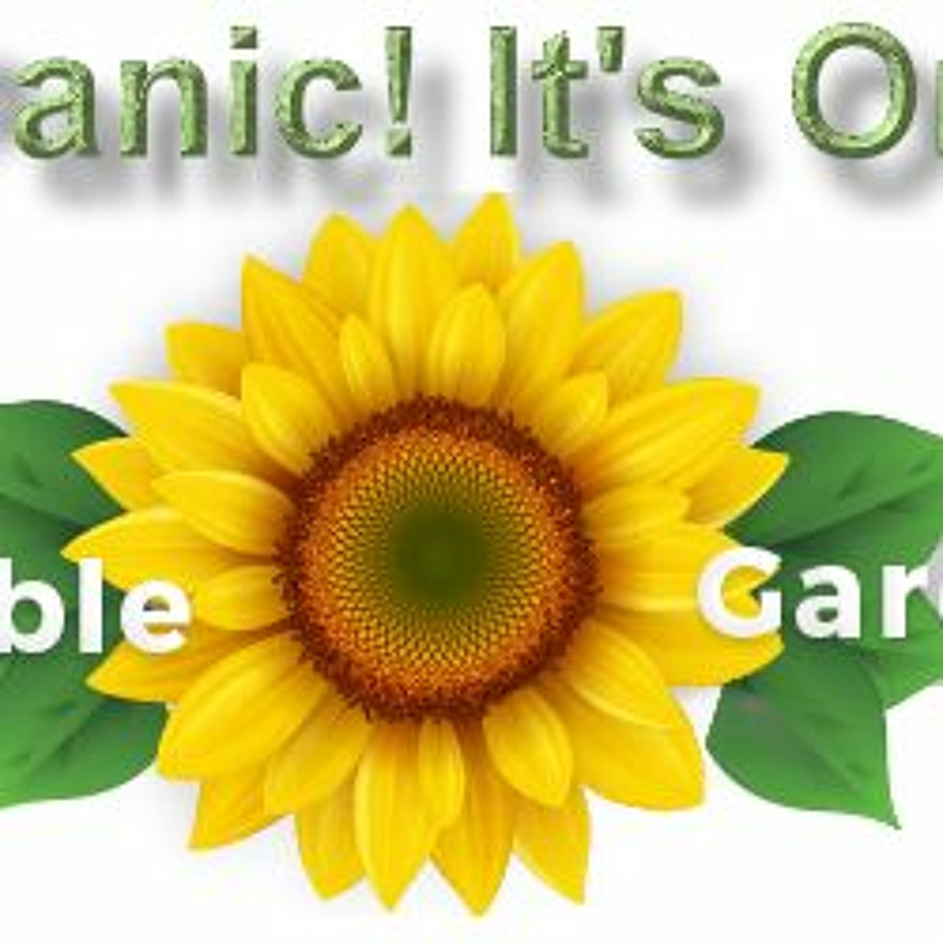 Dont Panic Its Organic 2019 - 08 - 03 episode artwork
