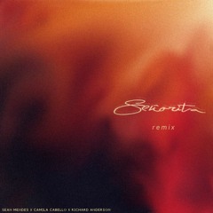 Senorita Remix - Shawn Mendes, Camila Cabello x Richard Anderson