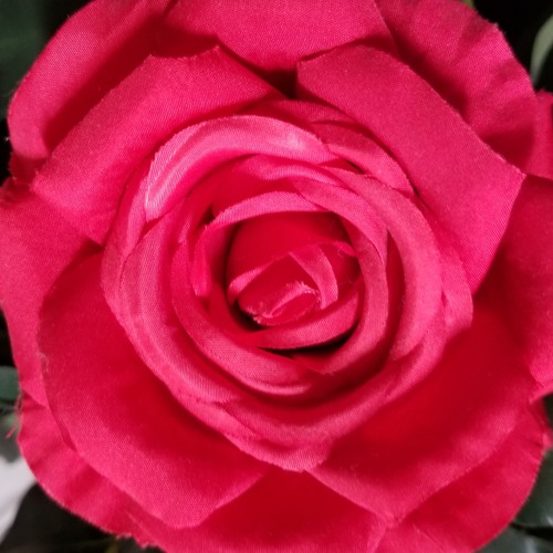 Rose in ta ne enaj kainemon