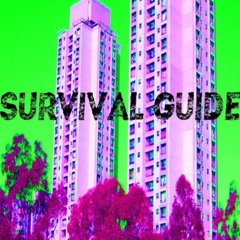 SURVIVAL GUIDE # 3: Dear Tenant