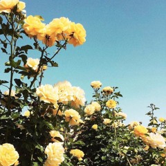 W e a re he r e a nd w e a re