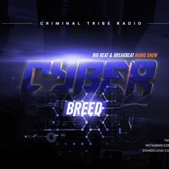 maphskiy - Cyberbreed 07 (05.08.19) [no voice]