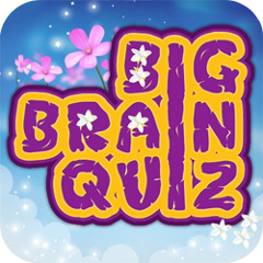 Big Brain Quiz